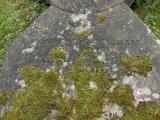 image of grave number 33354